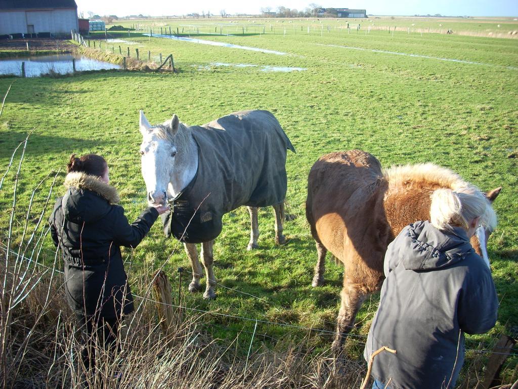 Wiesenblick Pellworm Esterno foto